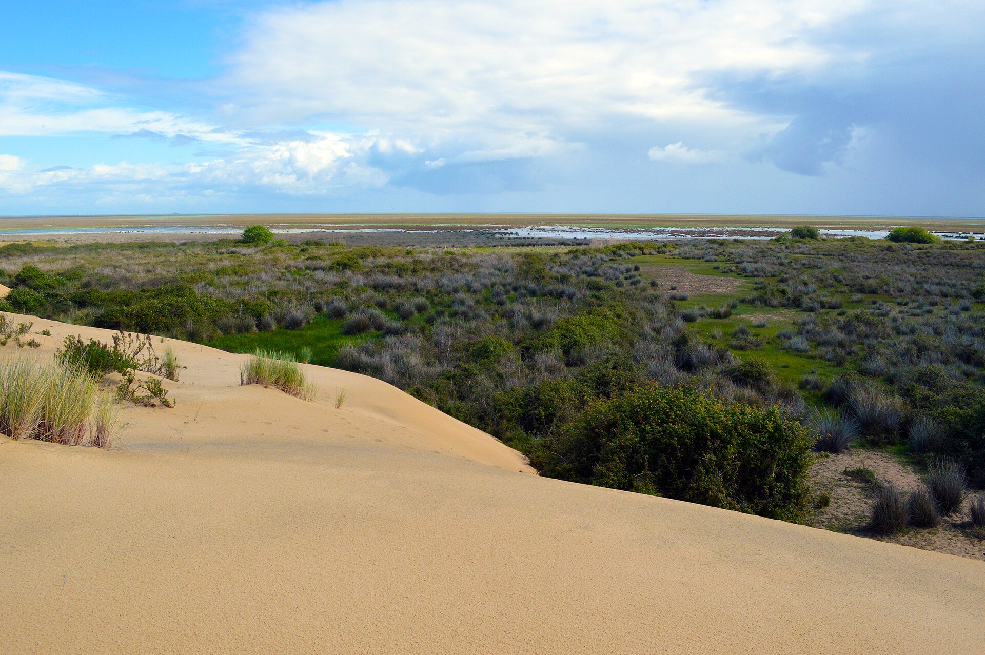 Sümpfe des Nationalparks Doñana — El Rocío, Huelva, Andalusien
